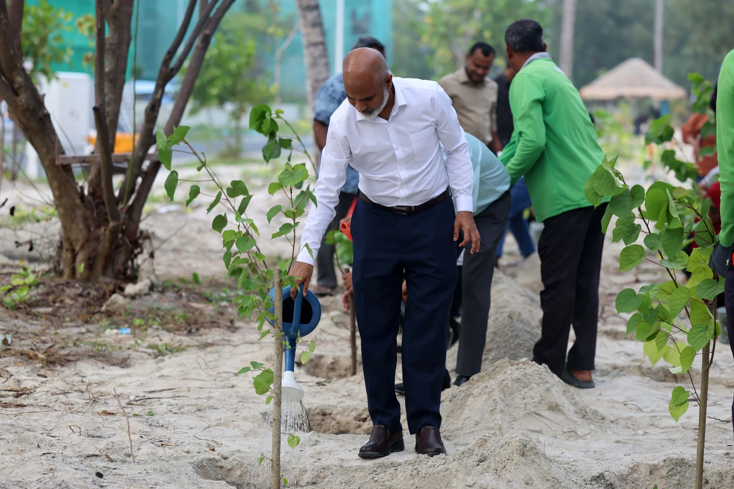 މިނިސްޓްރީގެ 93 ވަނަ އަހަރީ ދުވަސް ފާހަގަކުރުމަށްޓަކައި ގަސްއިންދުމުގެ ބޮޑު ޙަރަކާތެއް ކުރިއަށްގެންގޮސްފި!